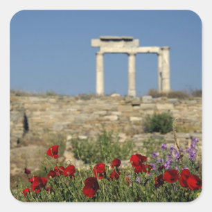 Pegatina Cuadrada Europa, Grecia, Cícladas, Delos. Ruinas de columna