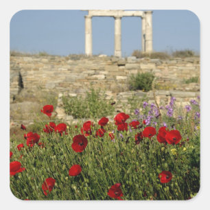 Pegatina Cuadrada Europa, Grecia, Cícladas, Delos. Ruinas de columna