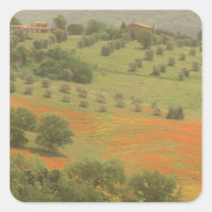 Pegatina Cuadrada Europa, Italia, Toscana, Val D'Orcia, Monte