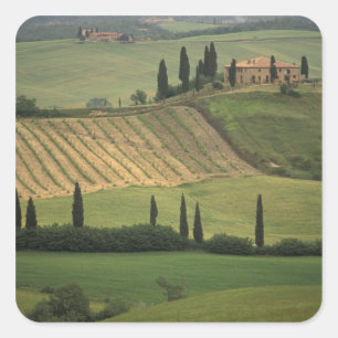 Pegatina Cuadrada Europa, Italia, Toscana, Val d'Orcia, Toscano