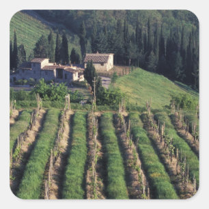 Pegatina Cuadrada Europa, Italia, Toscana. Villa pintoresca chipre.