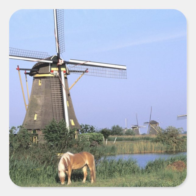 Pegatina Cuadrada Europa, Países Bajos, Zuid Holland, Kinderdijk.2 (Anverso)