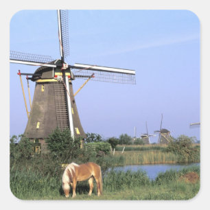 Pegatina Cuadrada Europa, Países Bajos, Zuid Holland, Kinderdijk.2