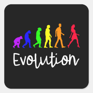 Pegatina Cuadrada Evolución