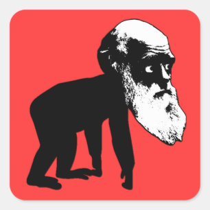Pegatina Cuadrada Evolución divertida de Darwin