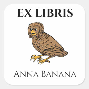 Pegatina Cuadrada Ex libris de búho medieval molesto