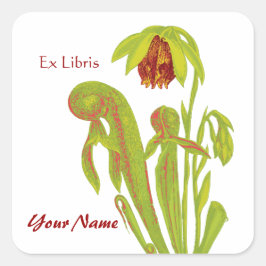 Pegatina Cuadrada Ex Pegatinas de Libris Pitcher