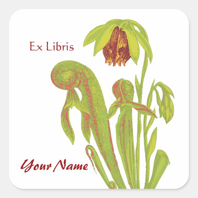 Pegatina Cuadrada Ex Pegatinas de Libris Pitcher (Anverso)