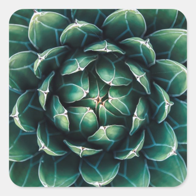 Pegatina Cuadrada Éxito verde y blanco (Anverso)