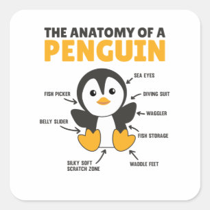Pegatina Cuadrada Explicación Graciosa De Un Pingüino La Anatomía