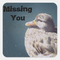 Extraño Pájaro Artístico De Pato Marrón