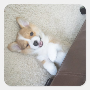 Pegatina Cuadrada ey chica