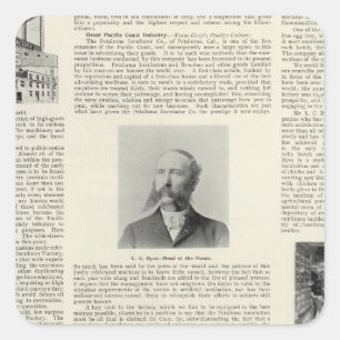 Pegatina Cuadrada Fábrica de la incubadora de Petaluma, California