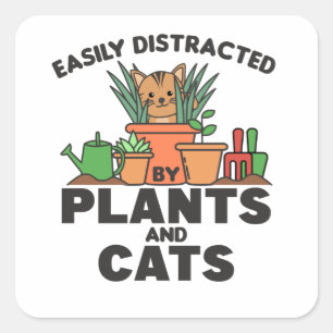 Pegatina Cuadrada Fácilmente Distraído Por Plantas Y Gatos Dulce Gat