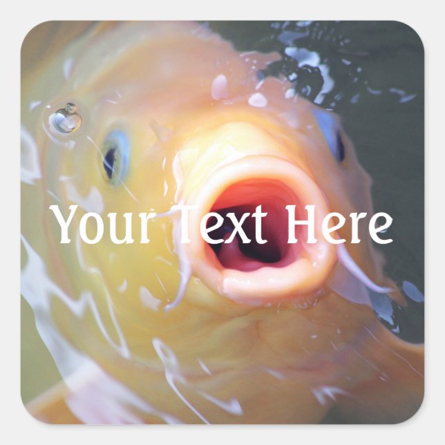 Pegatina Cuadrada Falln Singing Ghost Koi (Anverso)