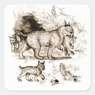 Pegatina Cuadrada Familia Bobcat