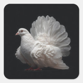 Pegatina Cuadrada Fantail Pigeon