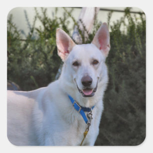 Pegatina Cuadrada Fantasma