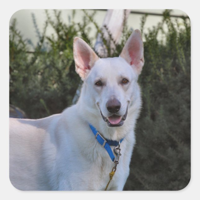 Pegatina Cuadrada Fantasma (Anverso)