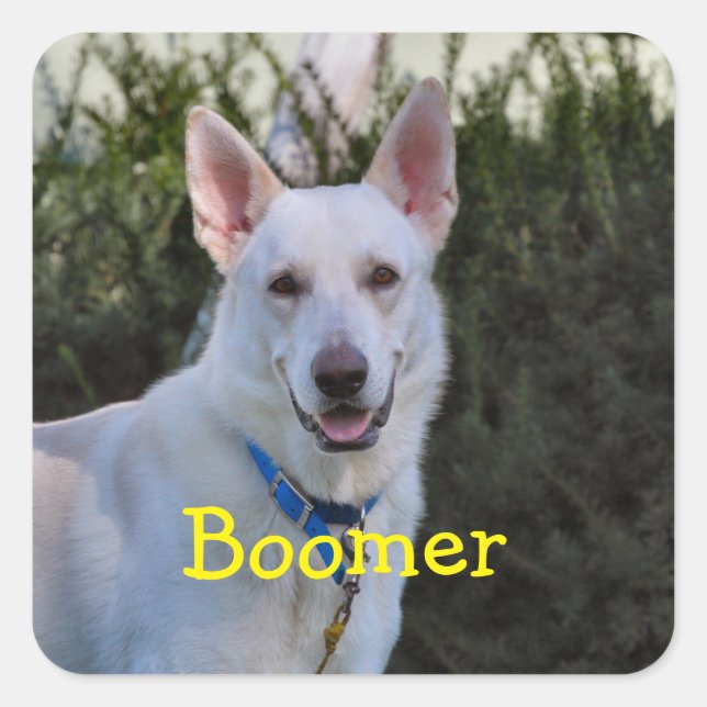 Pegatina Cuadrada Fantasma (Anverso)