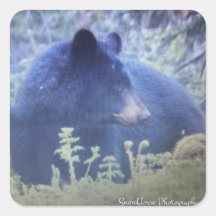 Fantasma El Oso Negro