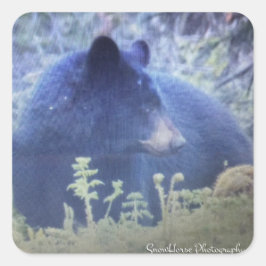 Pegatina Cuadrada Fantasma El Oso Negro