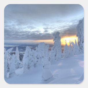 Pegatina Cuadrada Fantasmas de nieve al atardecer en Whitefish Mount