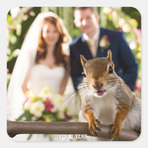 Pegatina Cuadrada Fantasy Cute Squirrel Pareja Casada