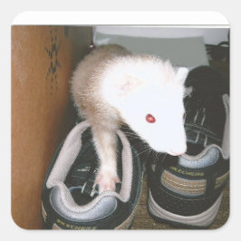 Pegatina Cuadrada Farret y la manguera