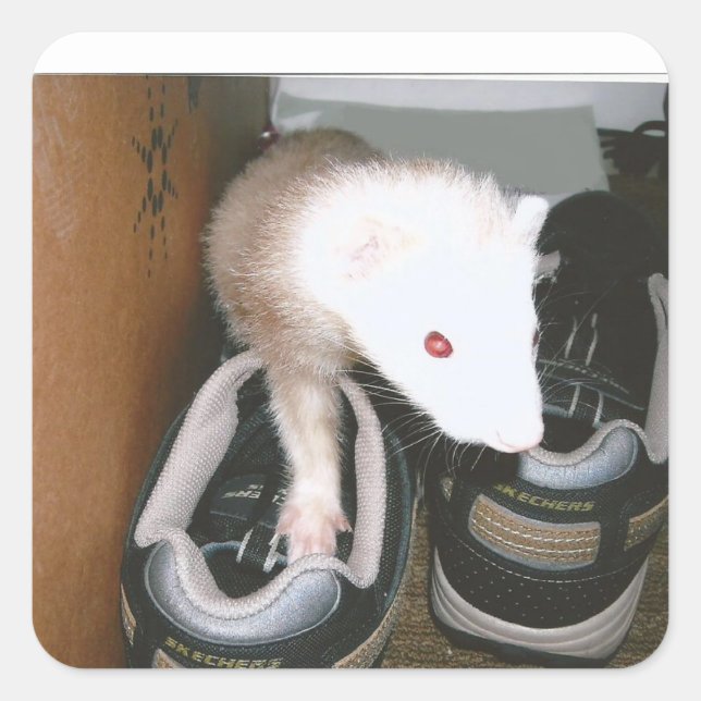 Pegatina Cuadrada Farret y la manguera (Anverso)