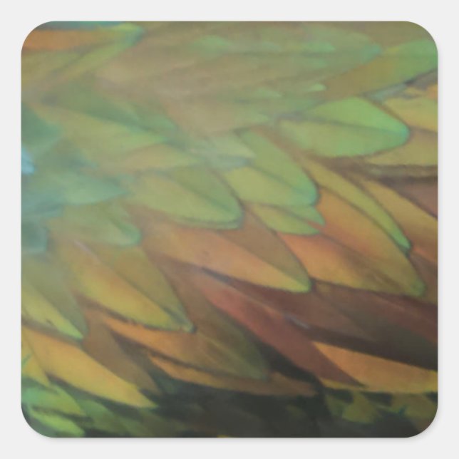 Pegatina Cuadrada Feathers (Anverso)
