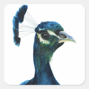 Pegatina Cuadrada Feathers finos
