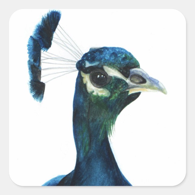 Pegatina Cuadrada Feathers finos (Anverso)