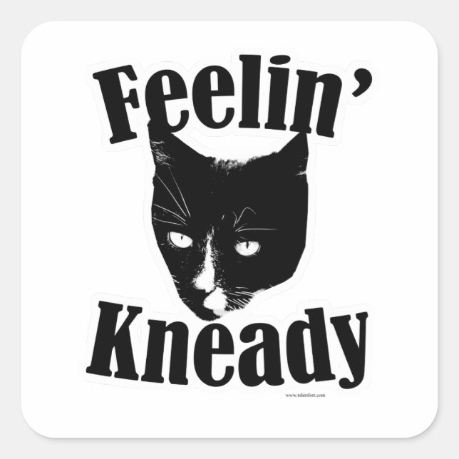 Pegatina Cuadrada Feelin Kneady Funny Cat Cute Photo Slogan (Anverso)