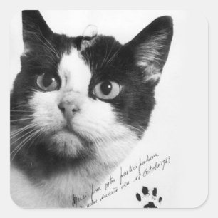 Pegatina Cuadrada Félicette: El primer gato en el espacio