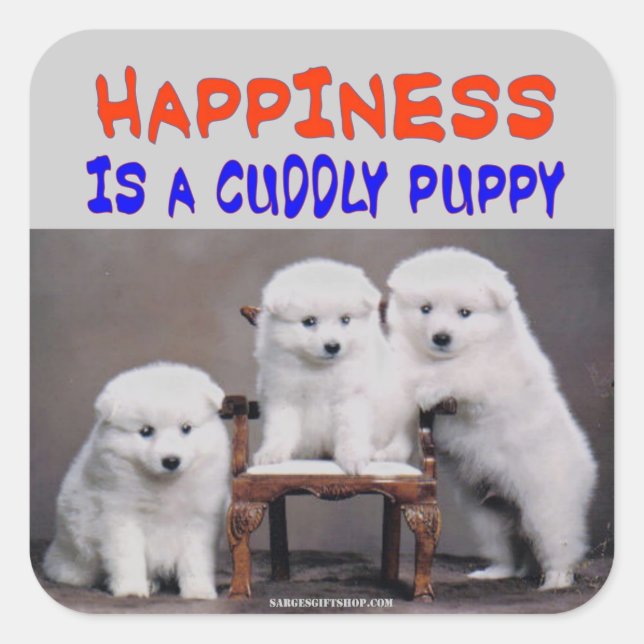 PEGATINA CUADRADA FELICIDAD (Anverso)