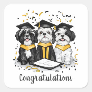 Pegatina Cuadrada Felicitaciones Graduación Shih Tzu Perros