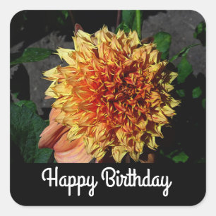 Pegatina Cuadrada Feliz cumpleaños, Dahlia Sandia Brocade #1-2 Pegat