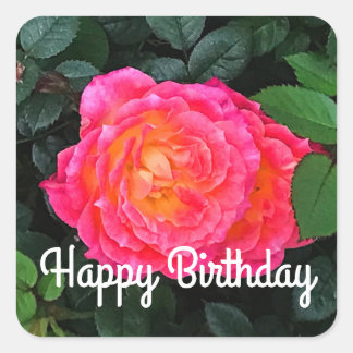 Pegatina Cuadrada Feliz cumpleaños, dolorosamente Rosa de los Winks