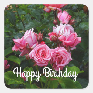 Pegatina Cuadrada Feliz cumpleaños, Gene Boerner Rosa #1 Pegatinas