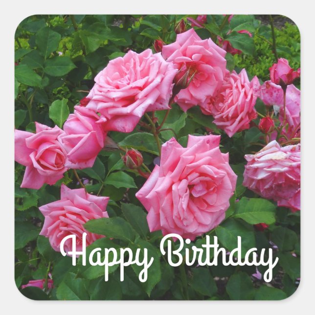 Pegatina Cuadrada Feliz cumpleaños, Gene Boerner Rosa #2 Pegatinas (Anverso)