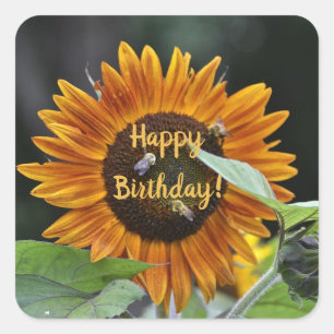 Pegatina Cuadrada Feliz cumpleaños, Golden Sunflower