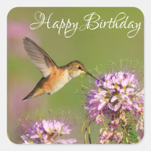 Pegatina Cuadrada Feliz cumpleaños Hummingbird y Wildflower