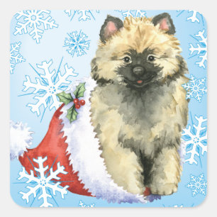 Pegatina Cuadrada Feliz cumpleaños Keeshond