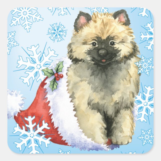 Pegatina Cuadrada Feliz cumpleaños Keeshond (Anverso)
