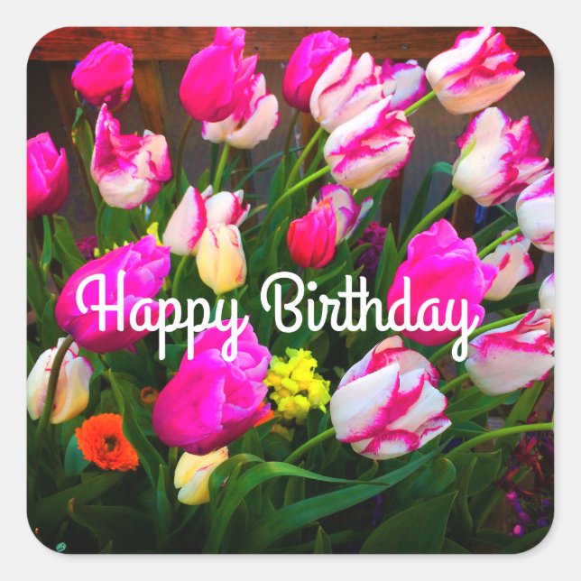 Pegatina Cuadrada Feliz cumpleaños, Navidades, sueño y afán #1-1 (Anverso)