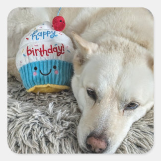 Pegatina Cuadrada Feliz cumpleaños para ti.