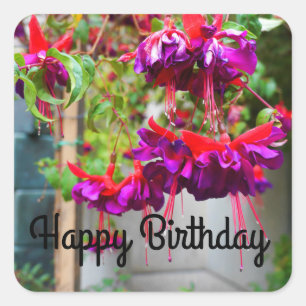 Pegatina Cuadrada Feliz cumpleaños, Pegatinas de la Fuchsia Roja y M