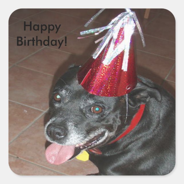Pegatina Cuadrada Feliz cumpleaños, perro negro con Gorra rojo (Anverso)
