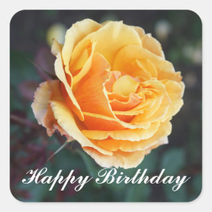 Pegatina Cuadrada Feliz cumpleaños por el Rosa #3 Pegatinas